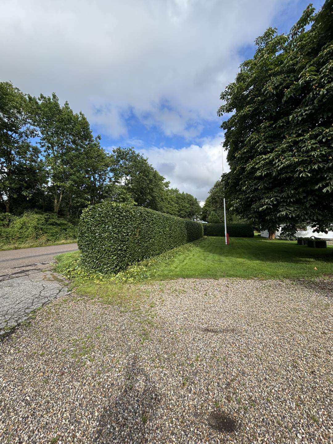 Hækkeklipning og indkørsel - KN Multiservice