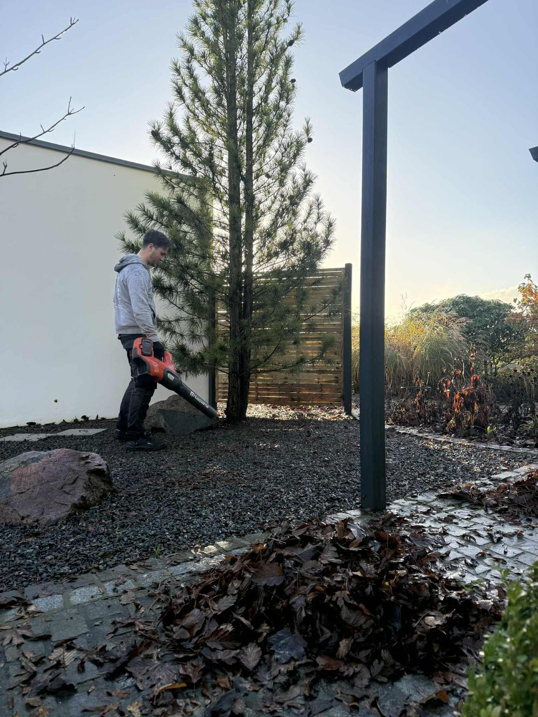 Træ- og buskarbejde